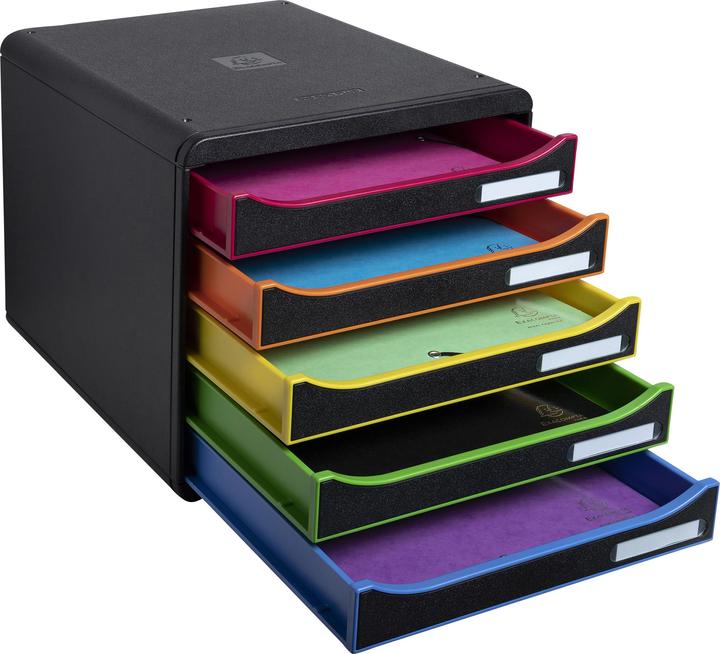 Actual product image Exacompta Big Box Plus (A4+)