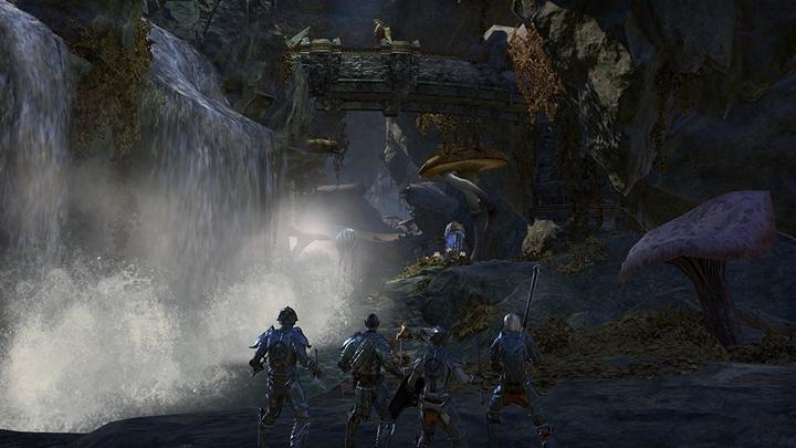 Image du produit Bethesda The Elder Scrolls Online : Morrowind (édition Day 1) (PC, DE)