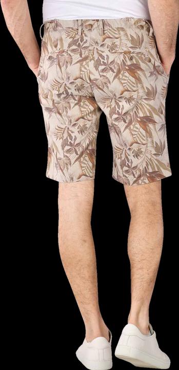 Actual product image Alberto 10019290 (36)