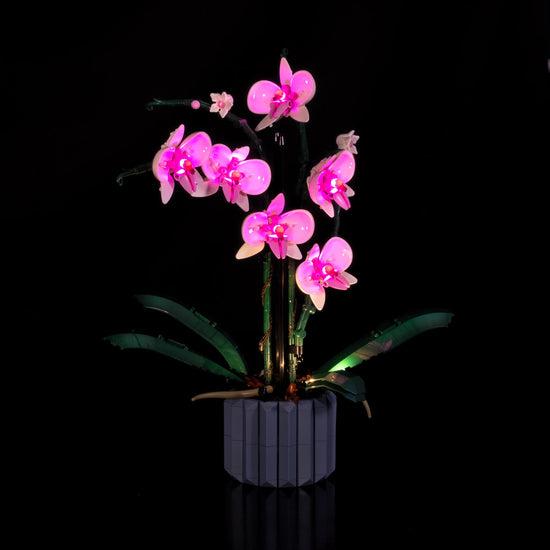 Produktbild Light my bricks LED Licht Set für LEGO 10311 Orchidee