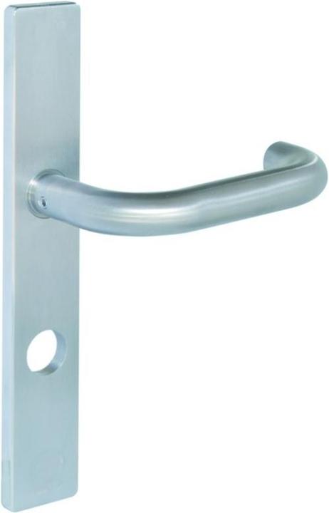 Actual product image MSL Door plates with handle 5973 (Door handle)