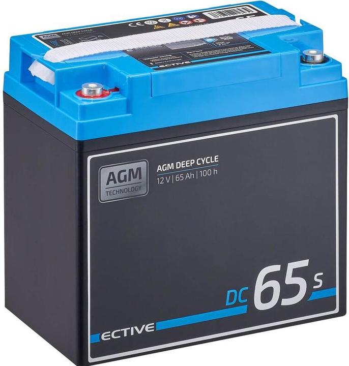 Immagine prodotto Ective Batteria di alimentazione AGM a ciclo profondo 12V 65Ah con display batteria camper (12 V, 65 Ah)