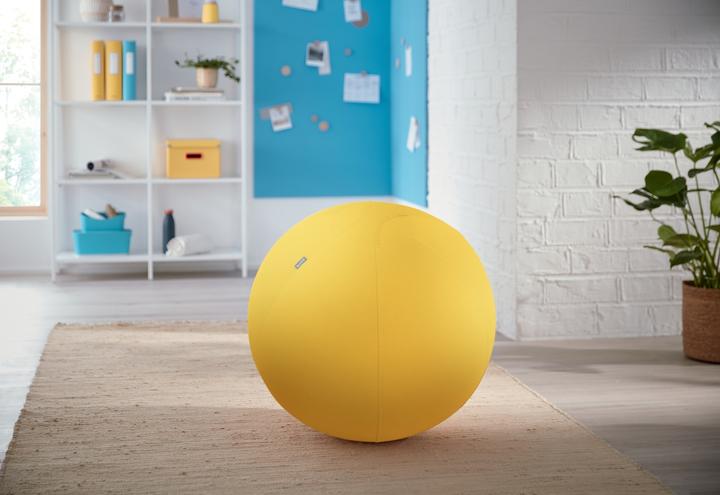 Produktbild Leitz Ergo Cosy Active Sitzball (65 cm)
