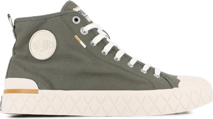 Olive Night