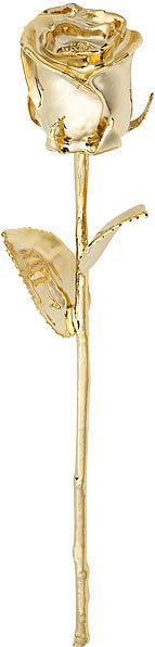 Actual product image St. Leonhard Real rose forever beautiful