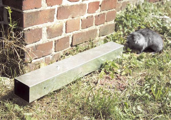 Actual product image Kerbl 299633 Bait station Blocbox metal, 40 cm