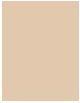 Actual product image NYX Professional Make-Up Can't Stop Won't Stop (1.5 Fair value)