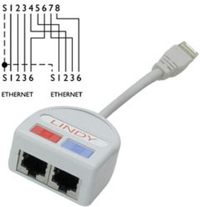 Actual product image Lindy UTP Port Doubler, 2 x (RJ45, RJ45 (2x))