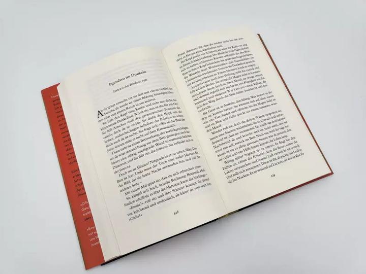 Actual product image Porträt einer Ehe (German, Maggie O'Farrell, Thomas Bodmer, 2022)