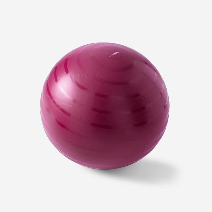 Image du produit Domyos Swiss Ball Basic (65 cm)