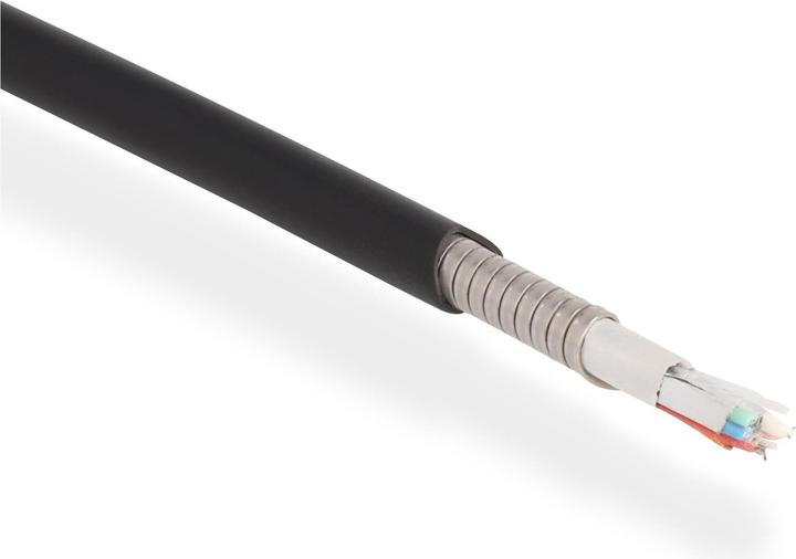 Delock Cavo HDMI ottico attivo con armatura metallica 8K 60 Hz 10 m (10 m, HDMI)