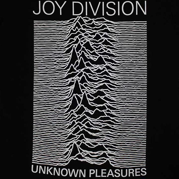 Produktbild Joy Division Unknown Pleasures TShirt (L)