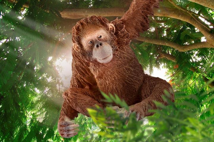 Produktbild Schleich Orang-Utan