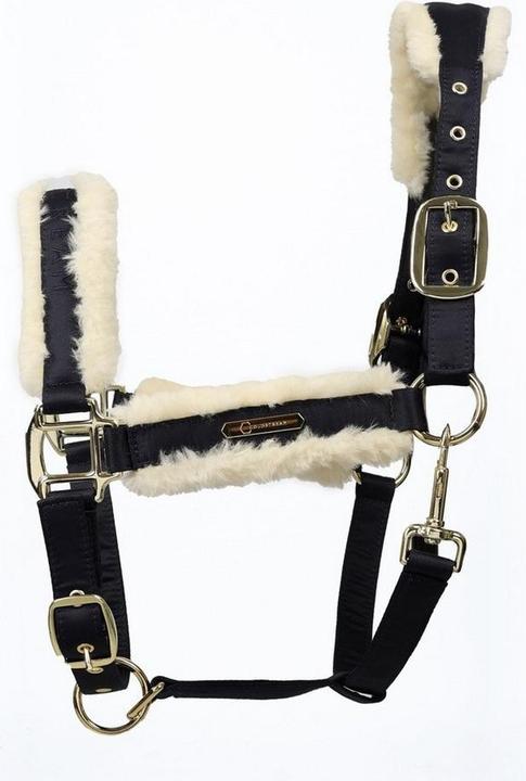 Immagine prodotto Coldstream Langlee Luxury Cavezza e Guinzaglio per Cavallo
