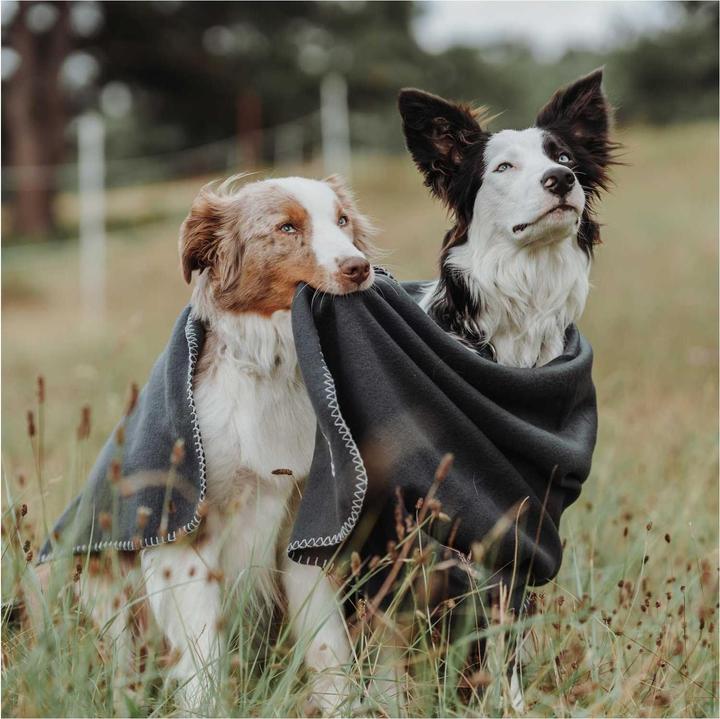 Actual product image Hunter Dog blanket Casper (Dog)