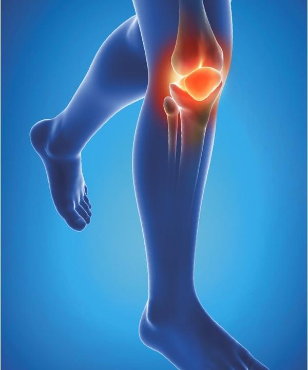 Image du produit Epitact Physiostrap (XL)