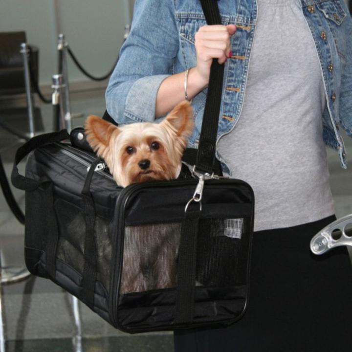 Image du produit zooplus Original Deluxe (Chien, Lavable en machine)