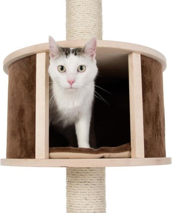 Produktbild GeoP Katzenbaum Deckenspanner Natural Paradise XL (Dunkelbraun)