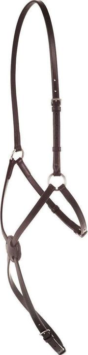 Image du produit Kincade Cuir Grackle muserolle croisée II