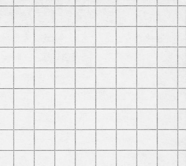 Produktbild Naturaline Schulheft FSC (A4, Kariert, Harter Einband)