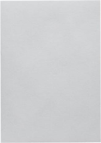 Actual product image Artoz 1001 A4 220g light gray 5 boxes (A4, 220 g/m², 5 x)