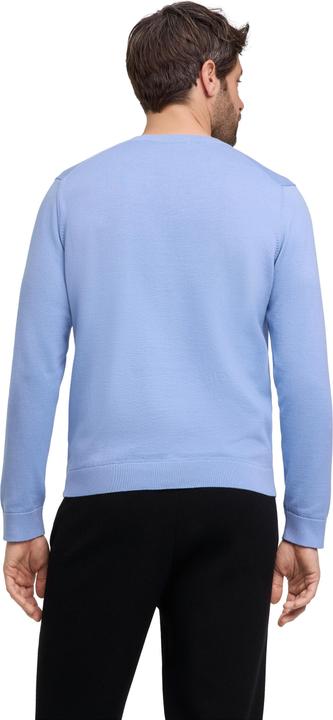 Immagine prodotto Falke FAV Cotton V-Neck m (3XL)