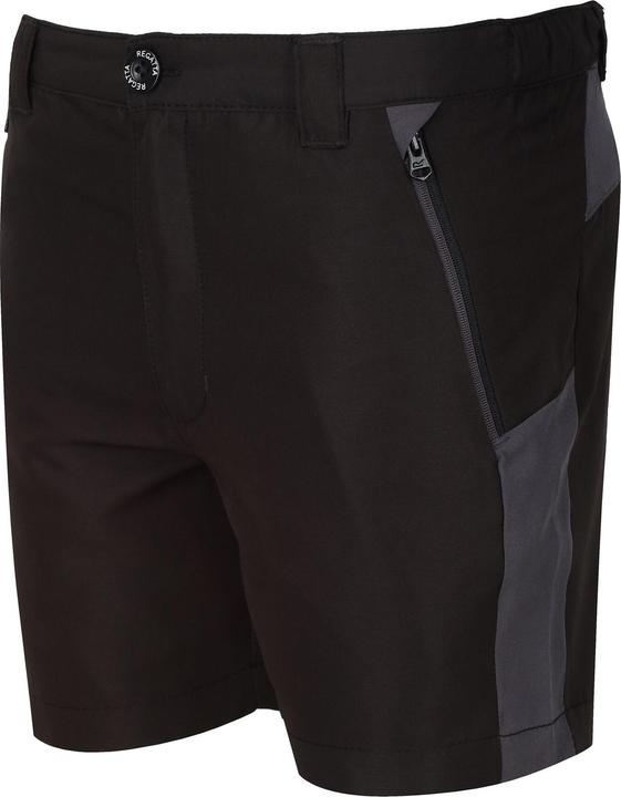Actual product image Regatta Childrens/Kids Sorcer Mountain III Shorts (146)