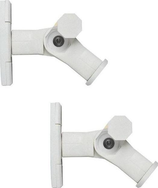 Image du produit Sanus WMS3 (1 paire, Installation murale, Pivotant)