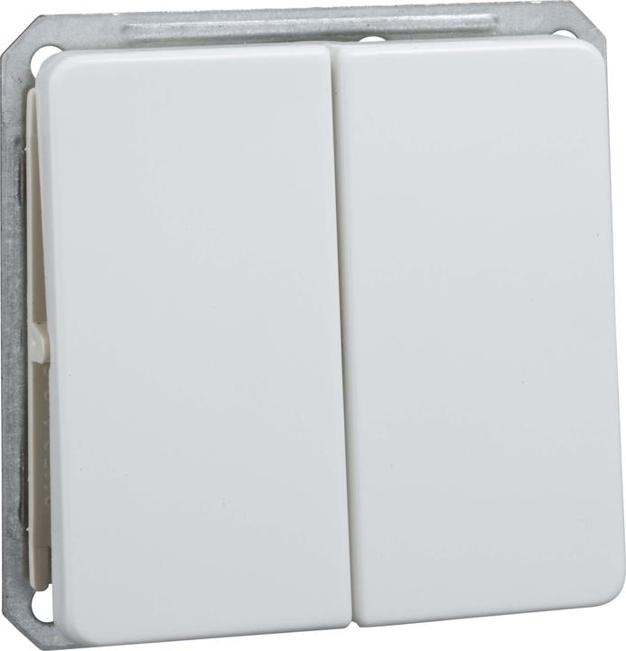 Schneider Electric Doppel-Wechselschalter 16A 211664