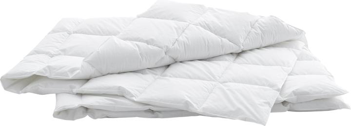 Produktbild Billerbeck Edition Thea Clima (620 g, 200 x 210 cm)