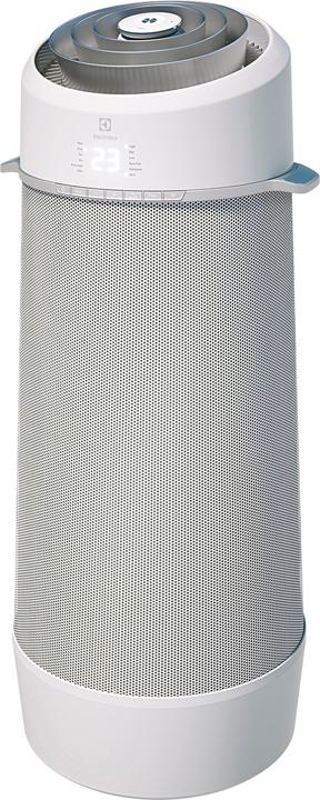 Electrolux air flower (40 m², 9000 BTU/h)