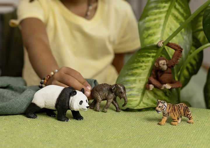 Actual product image Schleich Wild Life "Asia" Starter Set
