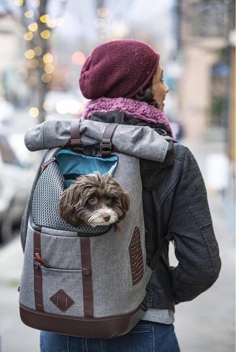 Produktbild Kurgo Hundetransportrucksack K9 (Hund, Faltbar, Atmungsaktiv)