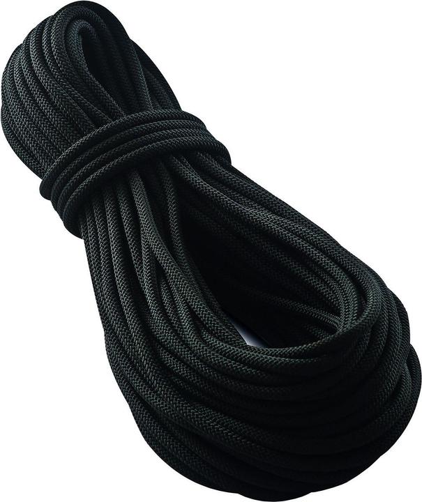 Tendon Smart 10.0 corde d'escalade noir (60 m)