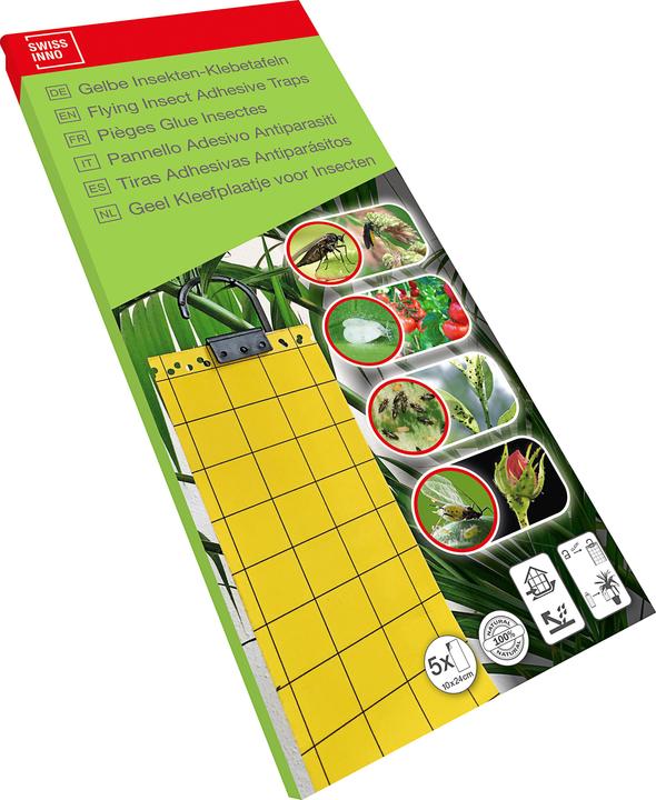 Produktbild Swissinno Gelbe Klebetafeln 5er Set
