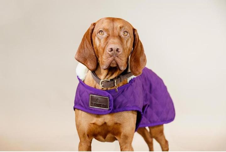 Produktbild Kentucky Dogwear Hundemantel Original (XXS, Hundemantel)