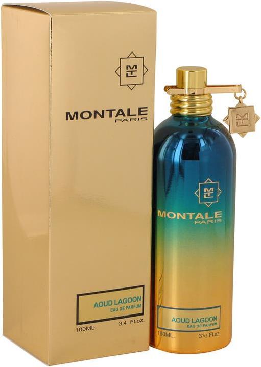 Montale Aoud Lagoon (Eau de Parfum, 100 ml)