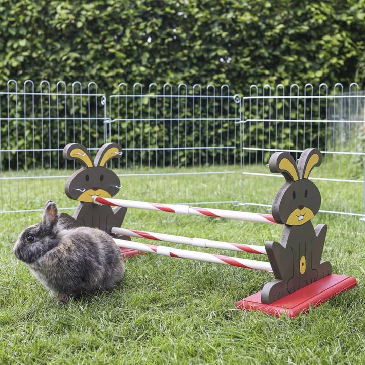 Actual product image Kerbl Rodent hurdle
