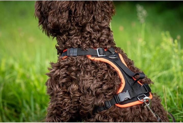 Produktbild Grossenbacher Geschirr Vary M Türkis (M, Hund, Allgemein)