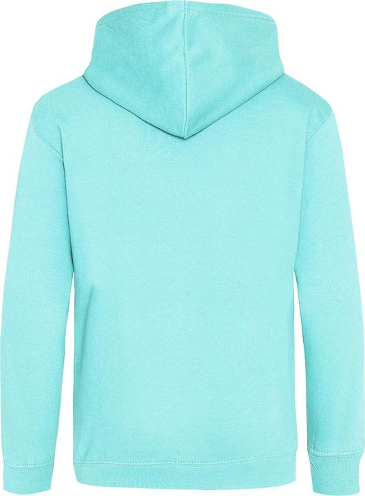 Image du produit Awdis - Sweat à capuche - Enfant (104)