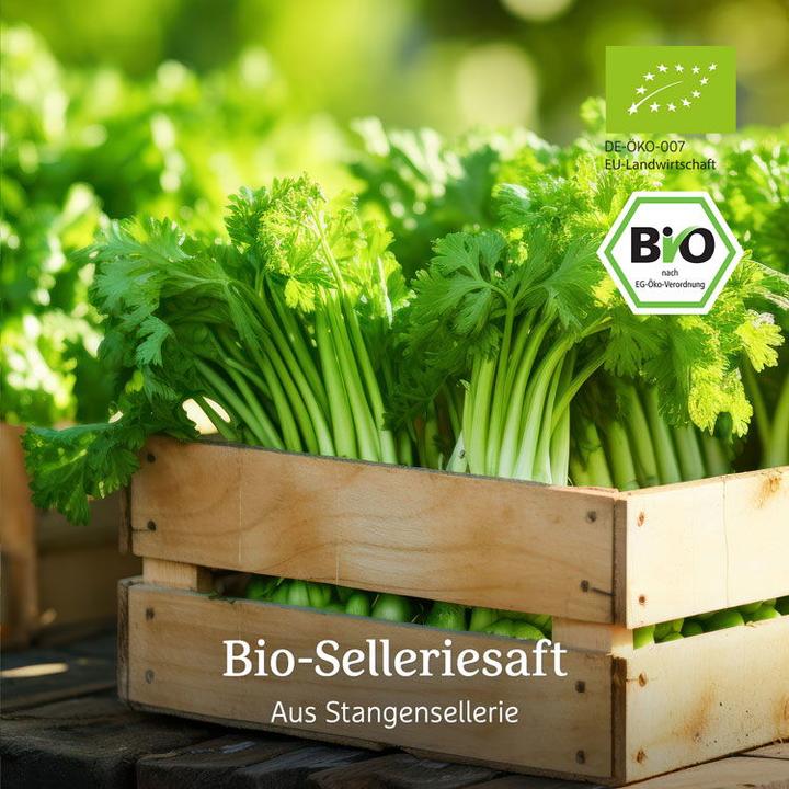 Image du produit Effective Nature Jus de céleri bio