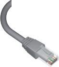 Actual product image Leviton Brand-Rex C6CPCU010-888BB, 1 m, Cat6+, U/UTP (UTP), RJ-45, RJ-45