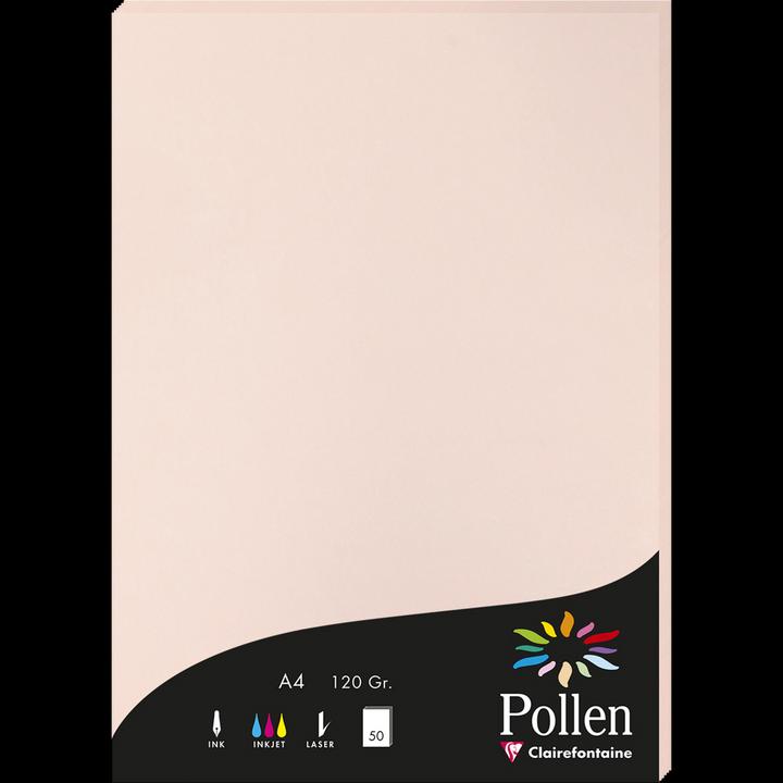 Produktbild Pollen Packung mit 50 Blatt (120 g/m², 50 x, A4)