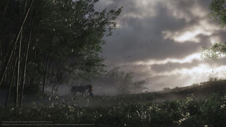 Image du produit Sony Ghost of Tsushima (PS4, Multilingue)