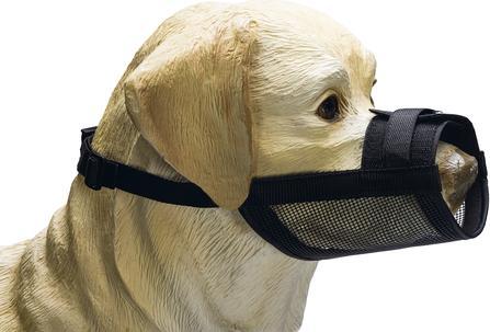 Produktbild Beeztees Maulkorb (XL, Hund, Hundesport)