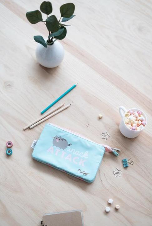 Produktbild Etui Pusheen Mint, 21.5 x 12 cm
