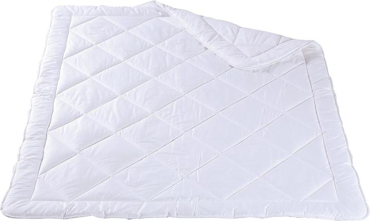Produktbild DOR Bambus (1720 g, 240 x 240 cm)