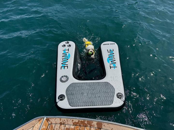 Produktbild Compass Hunderampe für Boot und Pool