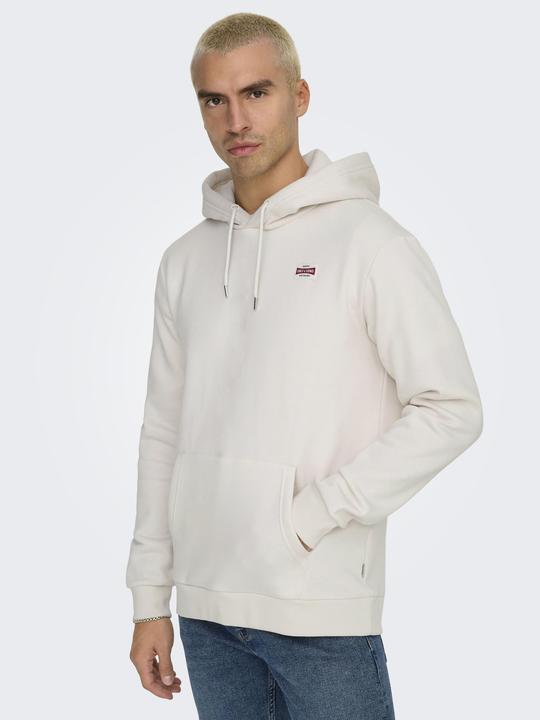 Actual product image Only & Sons ONSDAWSON Sweatshirt Kapuzenpullover (M)
