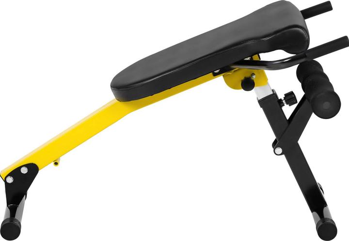 Actual product image Gymrex Rücken- und Bauchtrainer Hyperextension zusammenklappbar einstellbar 130 kg
